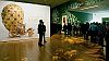           ,      : , ,    .  :    - / (: Gregory Bull/AP)