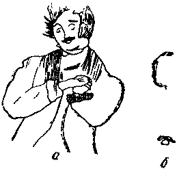  49             (   )