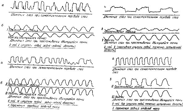  117   ()      ()         30   ()     ()      (        (. . )   ,               (   )      ,                ( E. . )