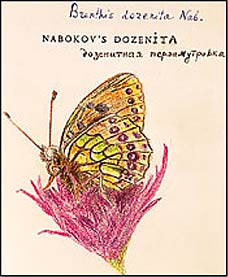 Illustration by Vladimir Nabokov