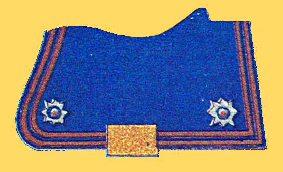  ; Officer valtrap