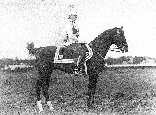           / The officer of one of regiments of a Guards heavy cavalry in a full dress